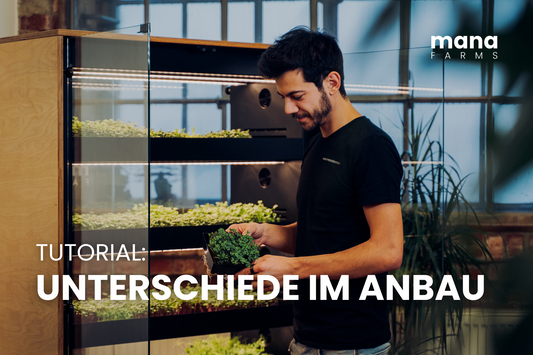 Indoor-Farming-Systeme im Vergleich