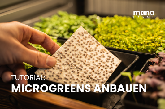 3 Möglichkeiten für den Anbau mit Seedpads