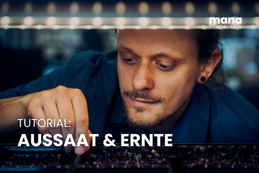 Mana Farm: Ernte & Aussaat