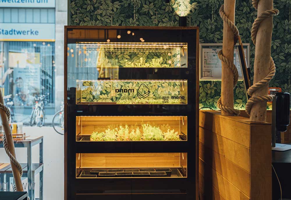 Mana Farms bei Peter Pane Vertical Farming
