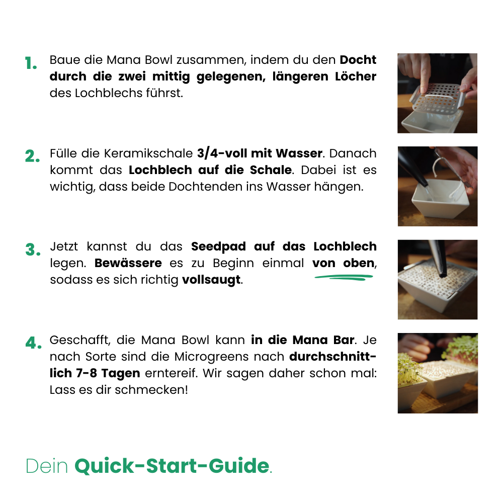 Qucik-Start-Guide zum Microgreen-Anbau mit einer Mana Bowl