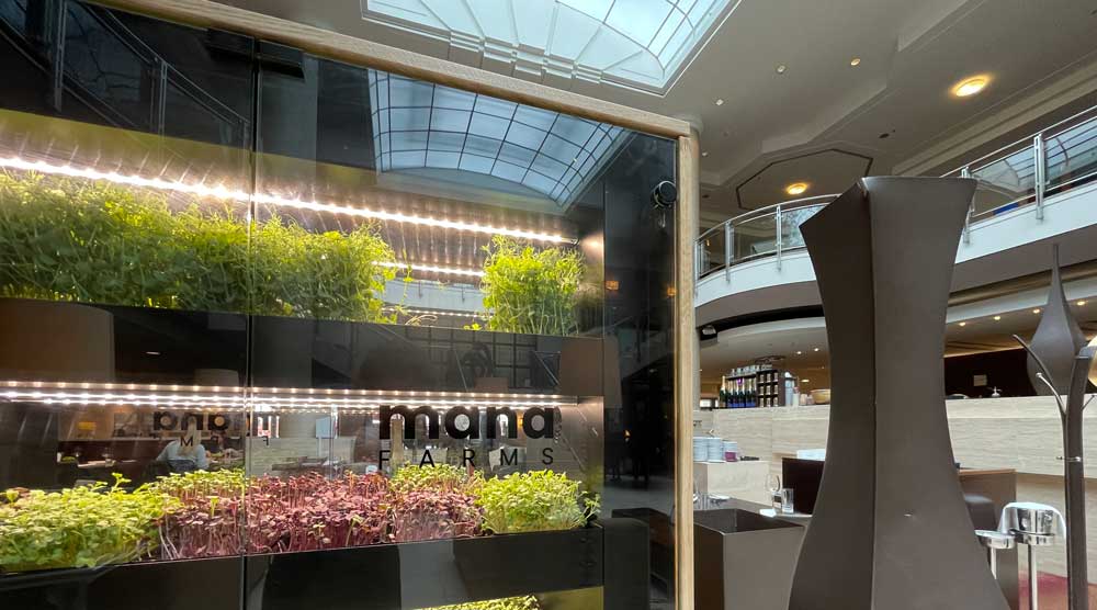 Mana Farms Vertical Farming System Hilton Hotel Berlin