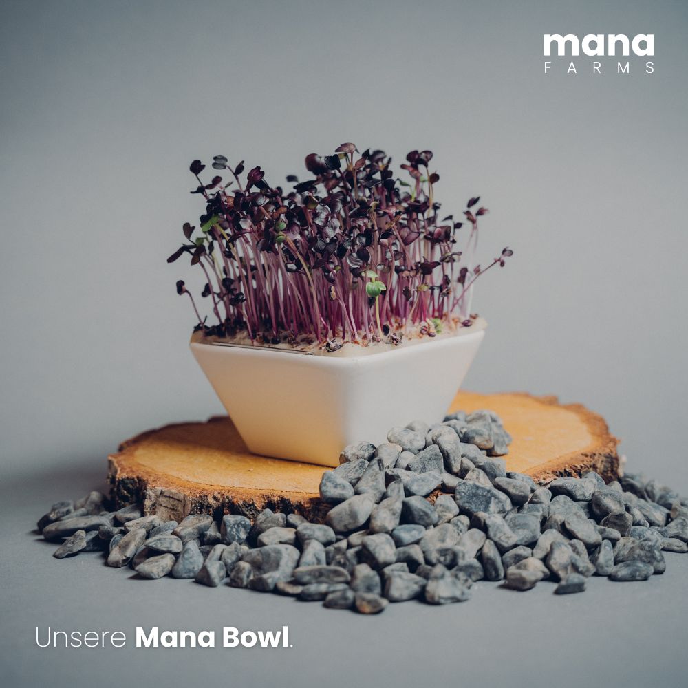 Mana Bowl Indoor-Farming-System für den Heimgebrauch zum Anbau von Microgreen-Seedpads