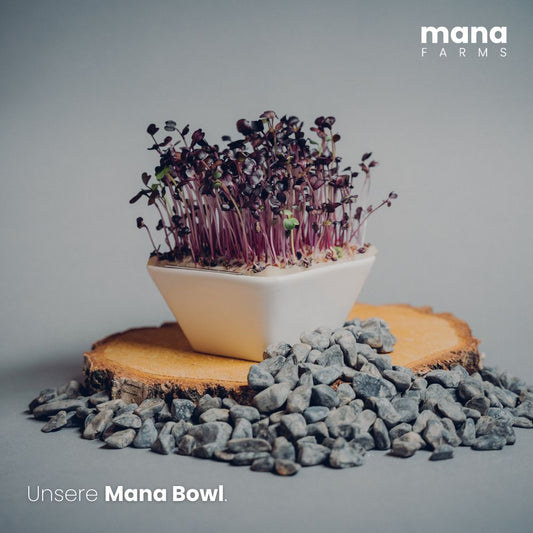 Mana Bowl Indoor-Farming-System für den Heimgebrauch zum Anbau von Microgreen-Seedpads