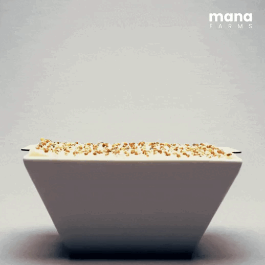 Mana Bowl Brokkoli-Starter-Kit