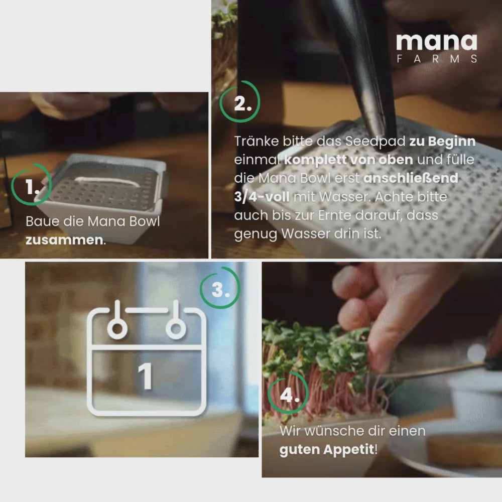 Quick-Start-Guide zum Anbau von Microgreens mit einer Mana Bowl
