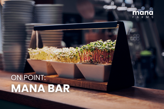 Mana Bar