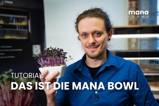 Mana Bowl