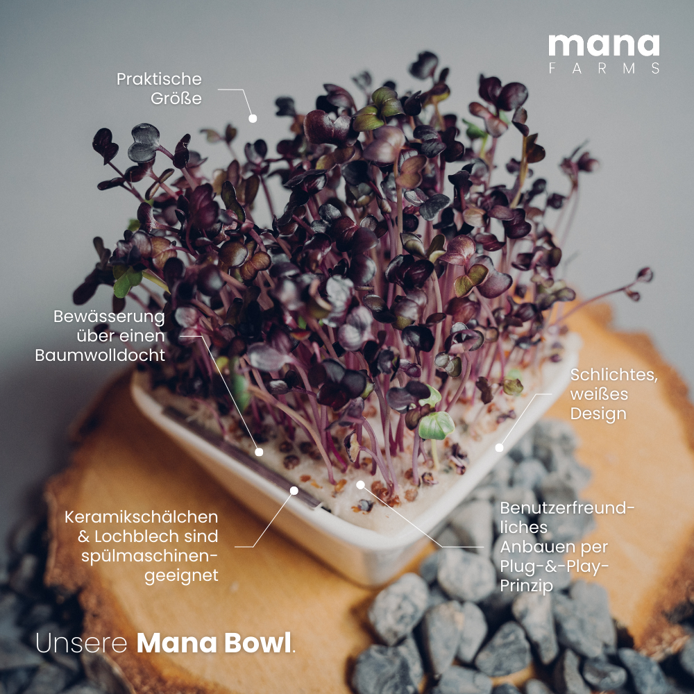 Mana Bowl Starter-Kit