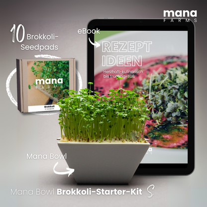 Das Mana Bowl Brokkoli-Starter-Kit