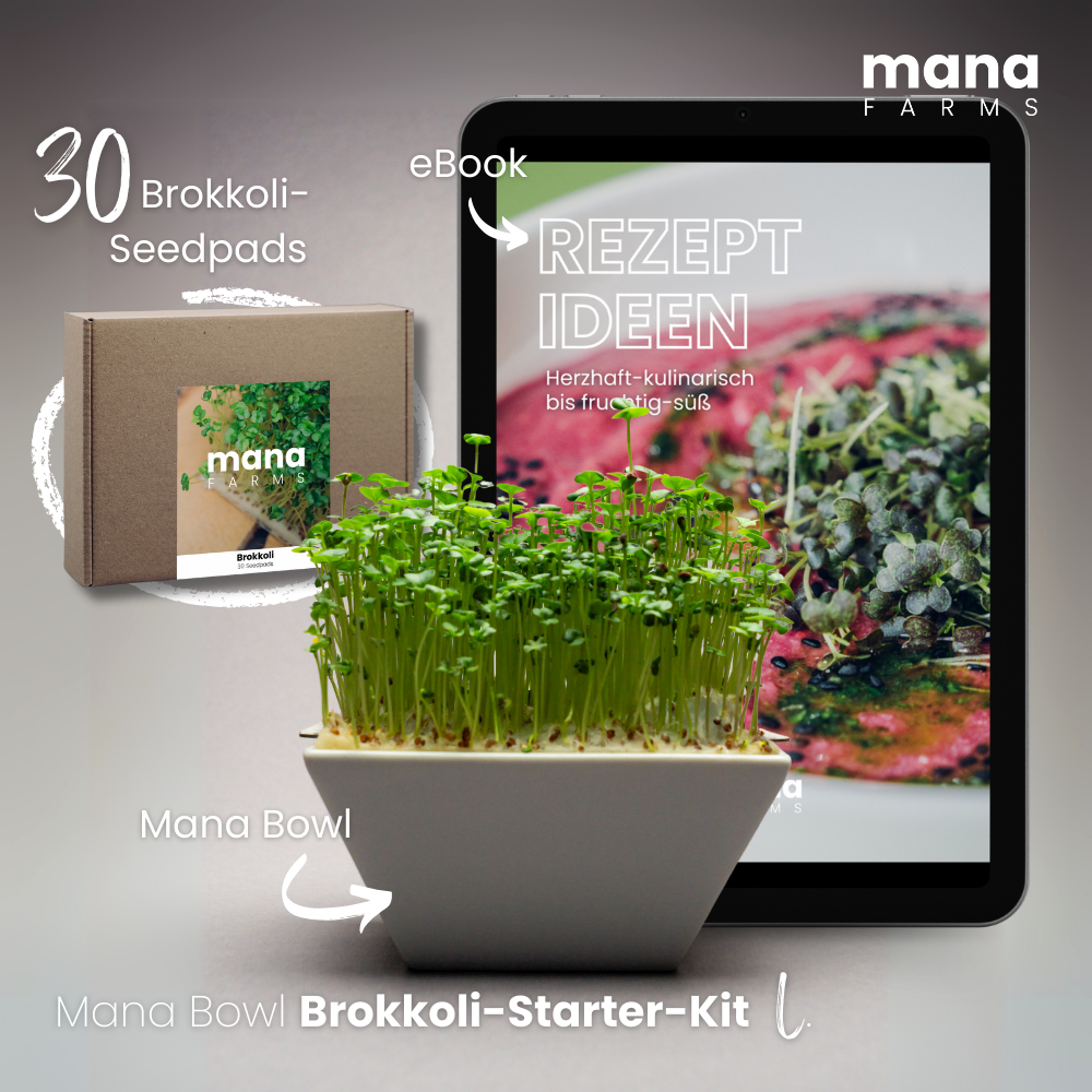 Das Mana Bowl Brokkoli-Starter-Kit