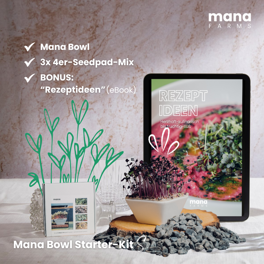 Mana Bowl Starter-Kit