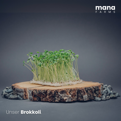 Mana Bowl Brokkoli-Starter-Kit