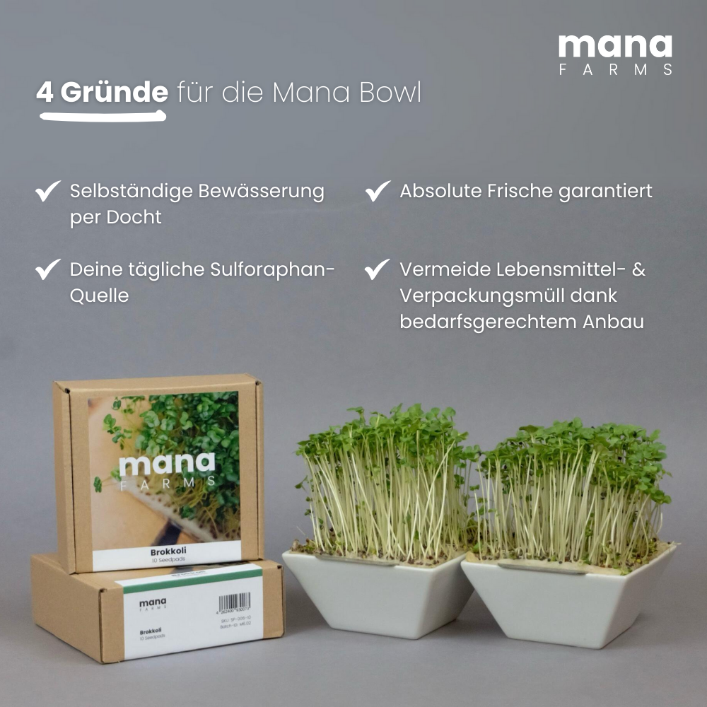 Das Mana Bowl Brokkoli-Starter-Kit