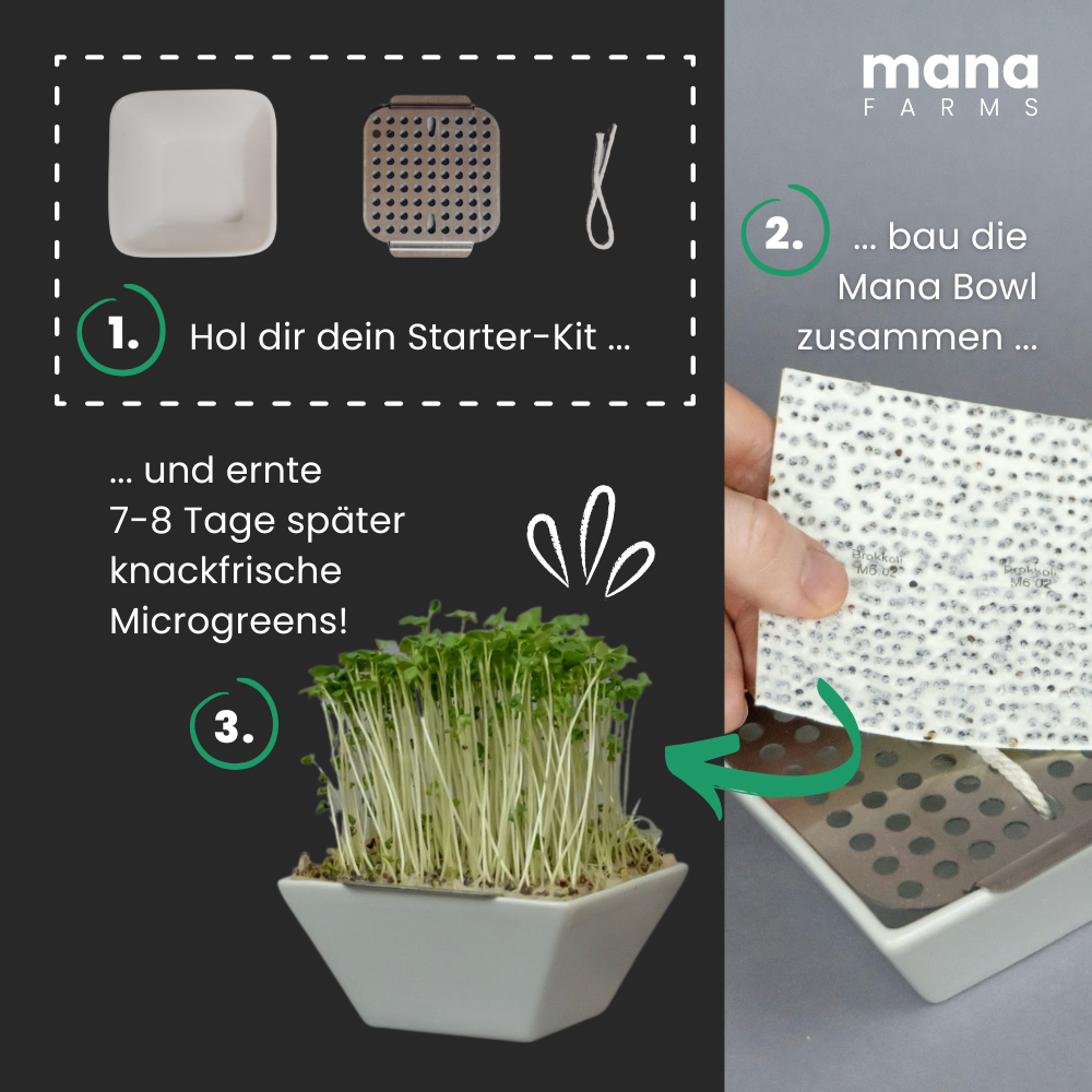 Das Mana Bowl Brokkoli-Starter-Kit