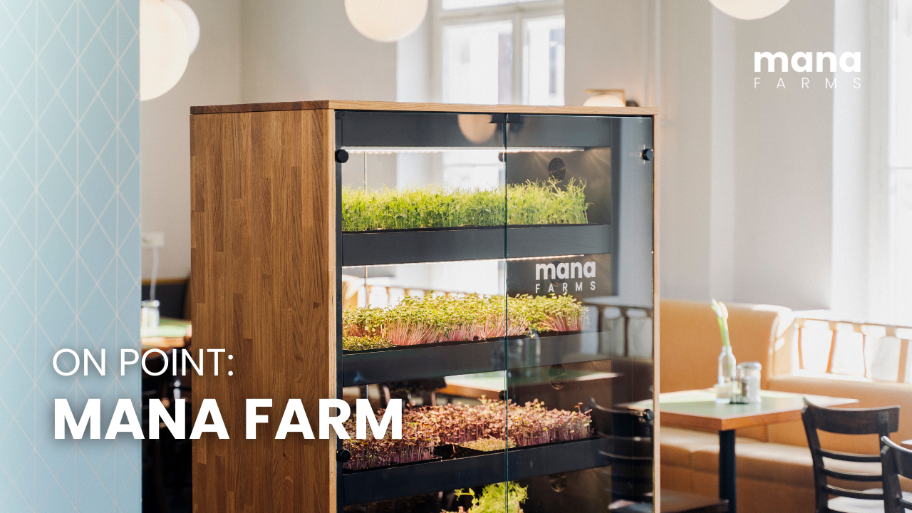 Load video: Mana Farm, ein Vertical-Farming-System von Mana Farms