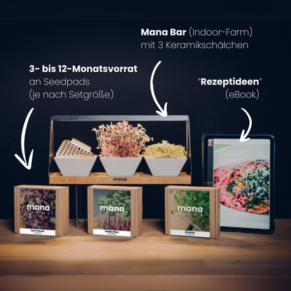 Mana Bar Starter-Set (Vorverkauf)