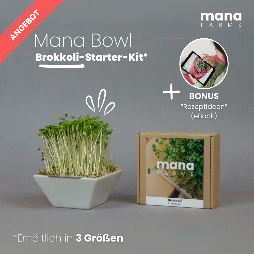 Mana Bowl Brokkoli-Starter-Kit