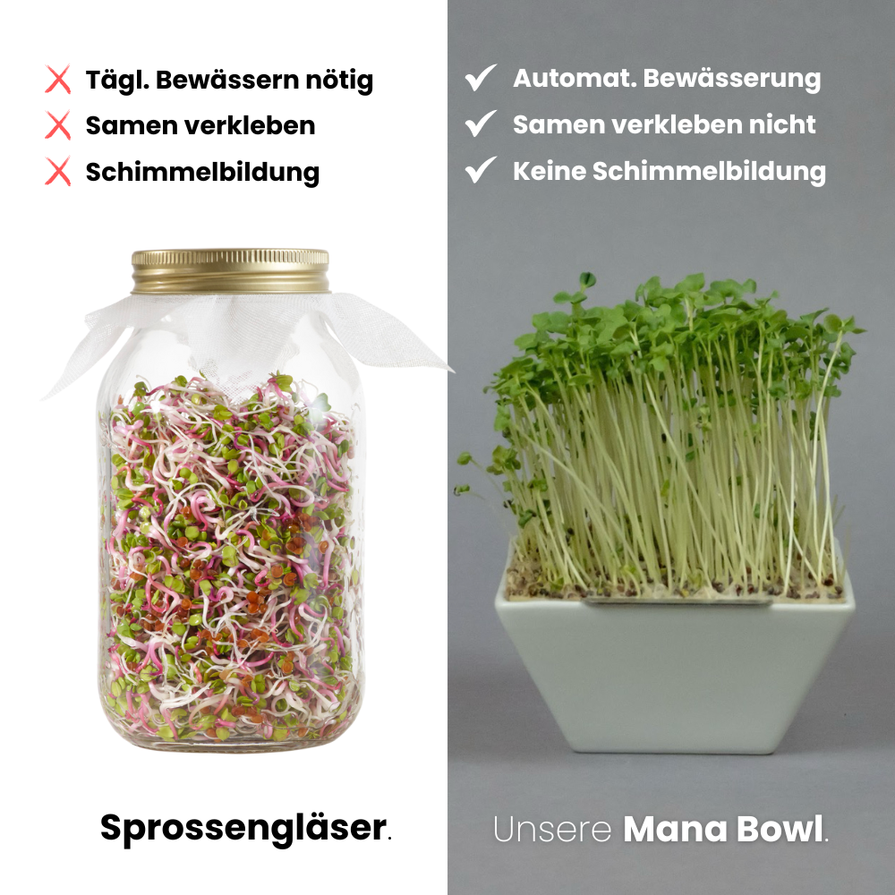 Das Mana Bowl Brokkoli-Starter-Kit