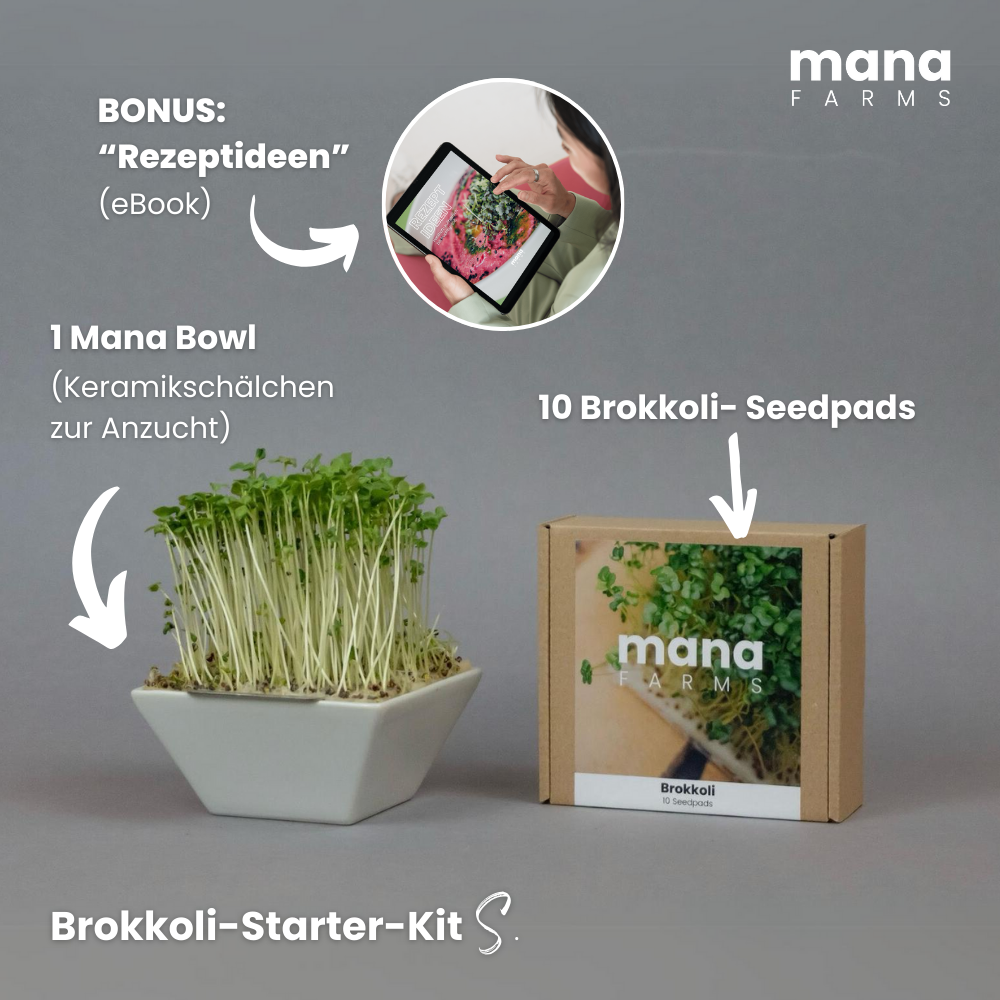 Das Mana Bowl Brokkoli-Starter-Kit