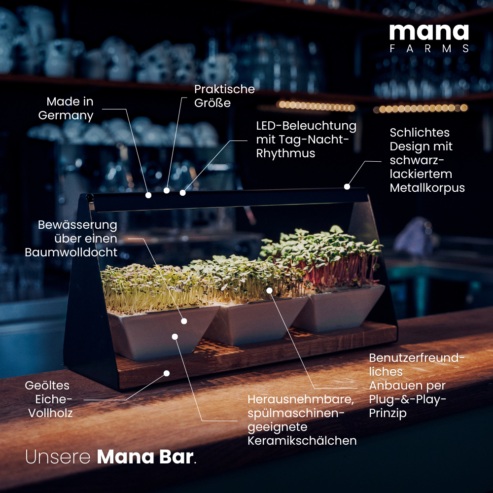 Mana Bar (Vorverkauf)