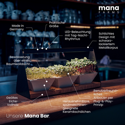 Mana Bar (Vorverkauf)