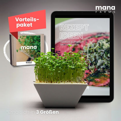 Das Mana Bowl Brokkoli-Starter-Kit