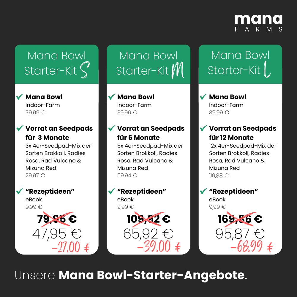 Mana Bowl Starter-Kit