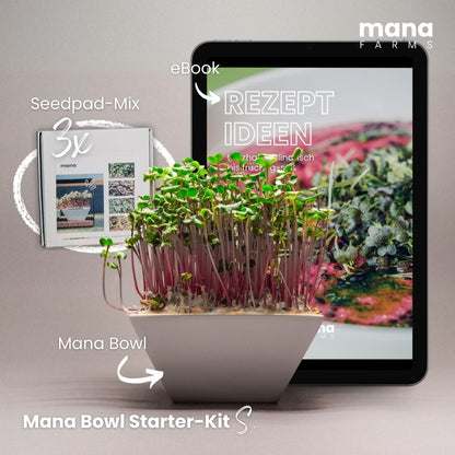 Mana Bowl Starter-Kit