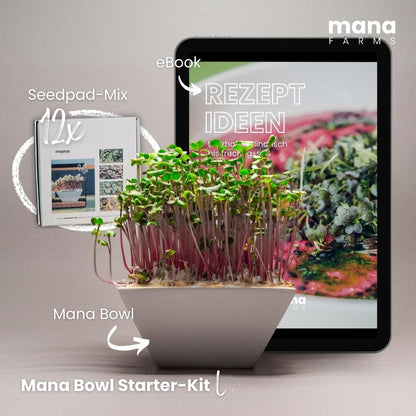 Mana Bowl Starter-Kit