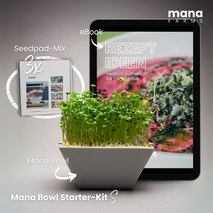 Mana Bowl Starter-Kit