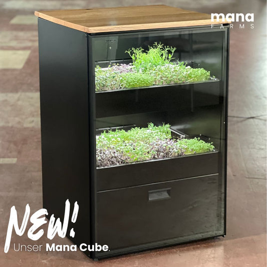 Mana Cube