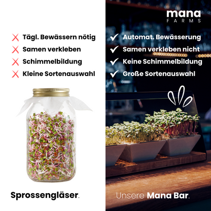 Mana Bar Starter-Set (Vorverkauf)