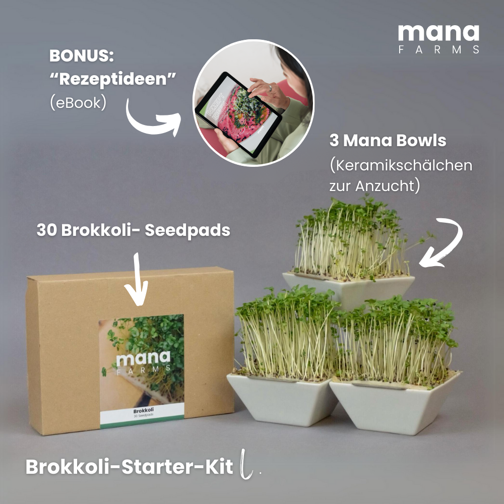 Das Mana Bowl Brokkoli-Starter-Kit