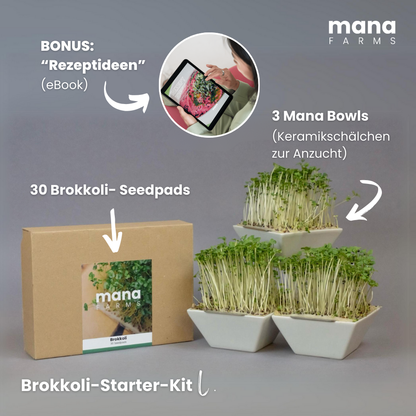 Mana Bowl Brokkoli-Starter-Kit