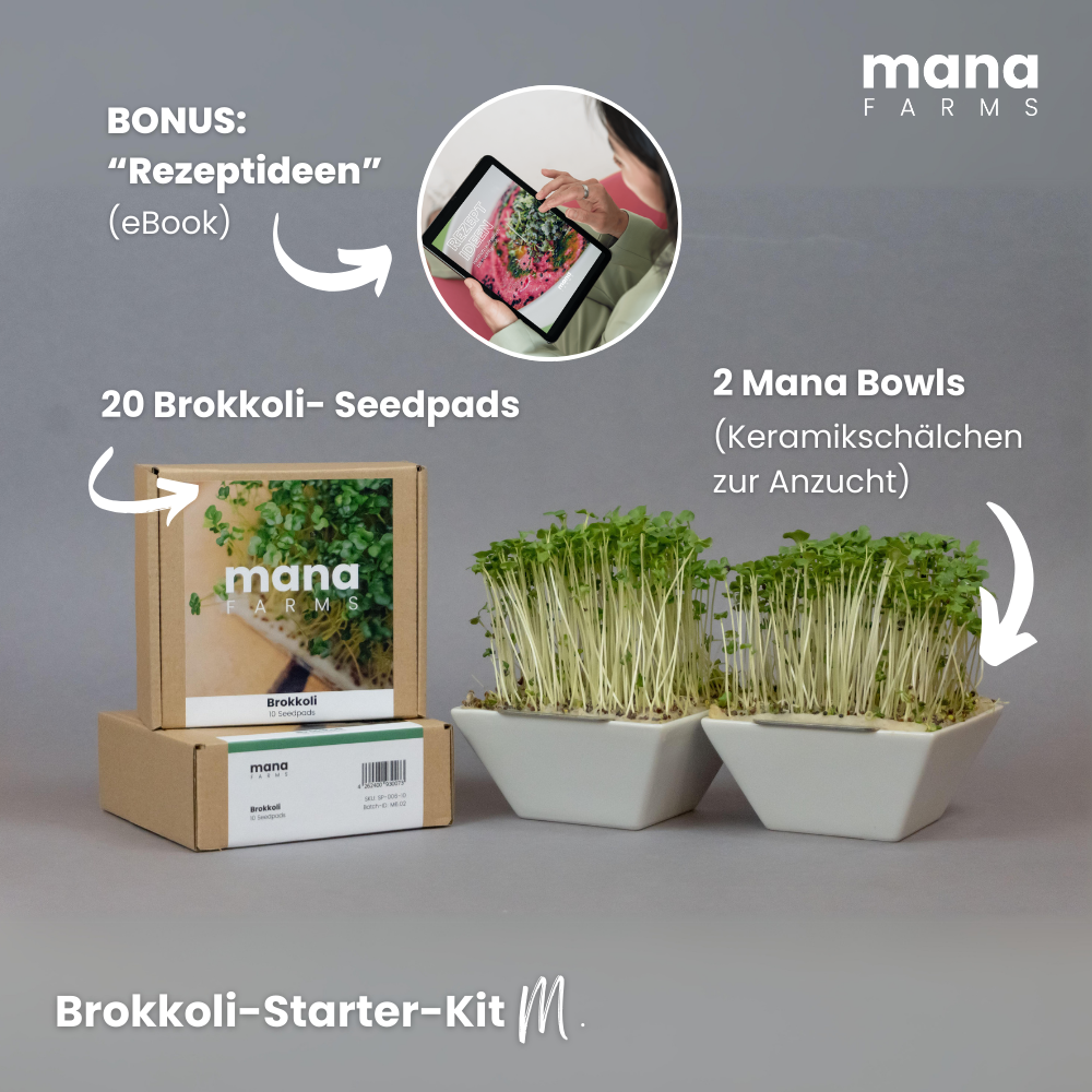 Mana Bowl Brokkoli-Starter-Kit